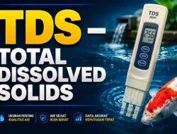 Pentingnya Mengukur Tingkat TDS – Total Dissolved Solids