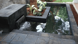 Jumlah Koi Ideal di Kolam