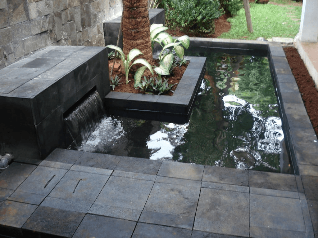 Jumlah Koi Ideal di Kolam