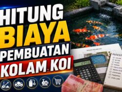 Hitung Biaya Pembuatan Kolam Koi