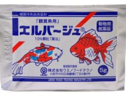 Elbayou atau Elbagin untuk Ikan Koi: Fungsi, Kandungan, Dosis dan Cara Penggunaannya